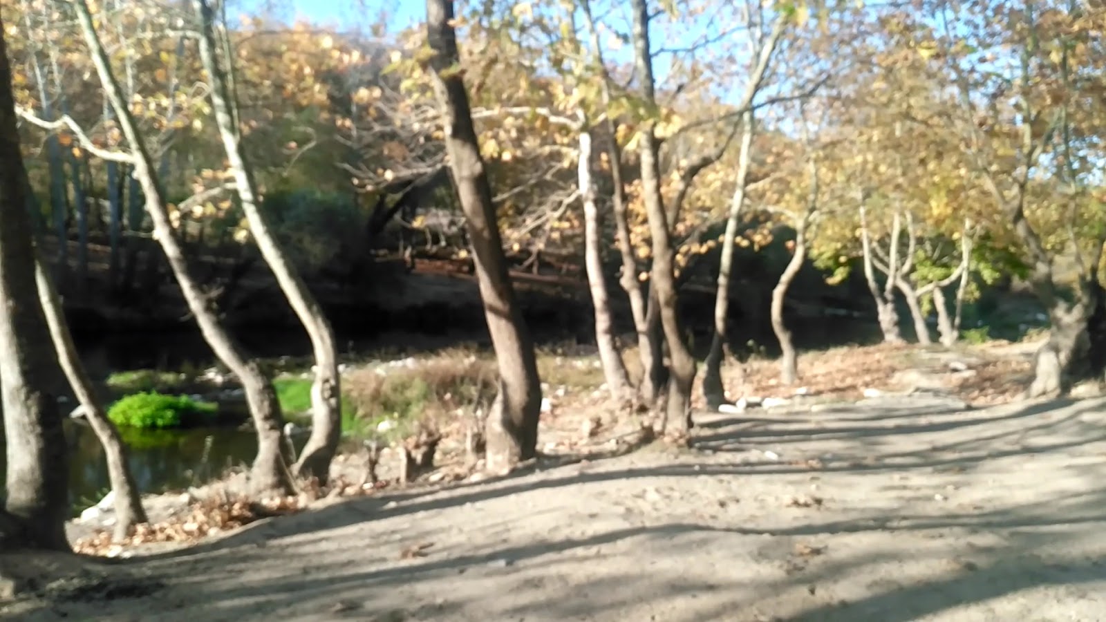 Kocaavşar Deresi Mesire Alanı — fotoğraf 3