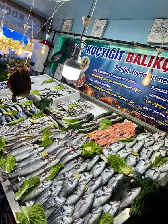 KOÇYİĞİT BALIKÇILIK — fotoğraf 3