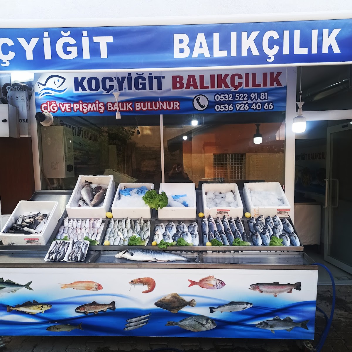 KOÇYİĞİT BALIKÇILIK — fotoğraf 4