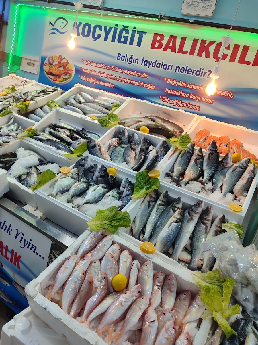 KOÇYİĞİT BALIKÇILIK — fotoğraf 5