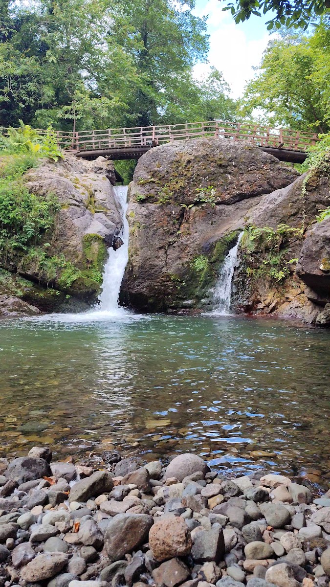 KÖK EV GİRESUN — fotoğraf 3