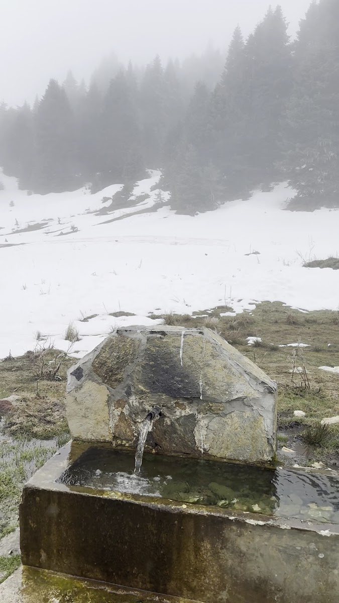 Kömürsu yaylasi — fotoğraf 3