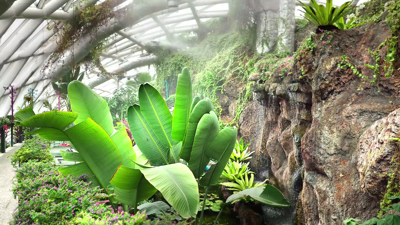 Konya Tropikal Kelebek Bahçesi — fotoğraf 4