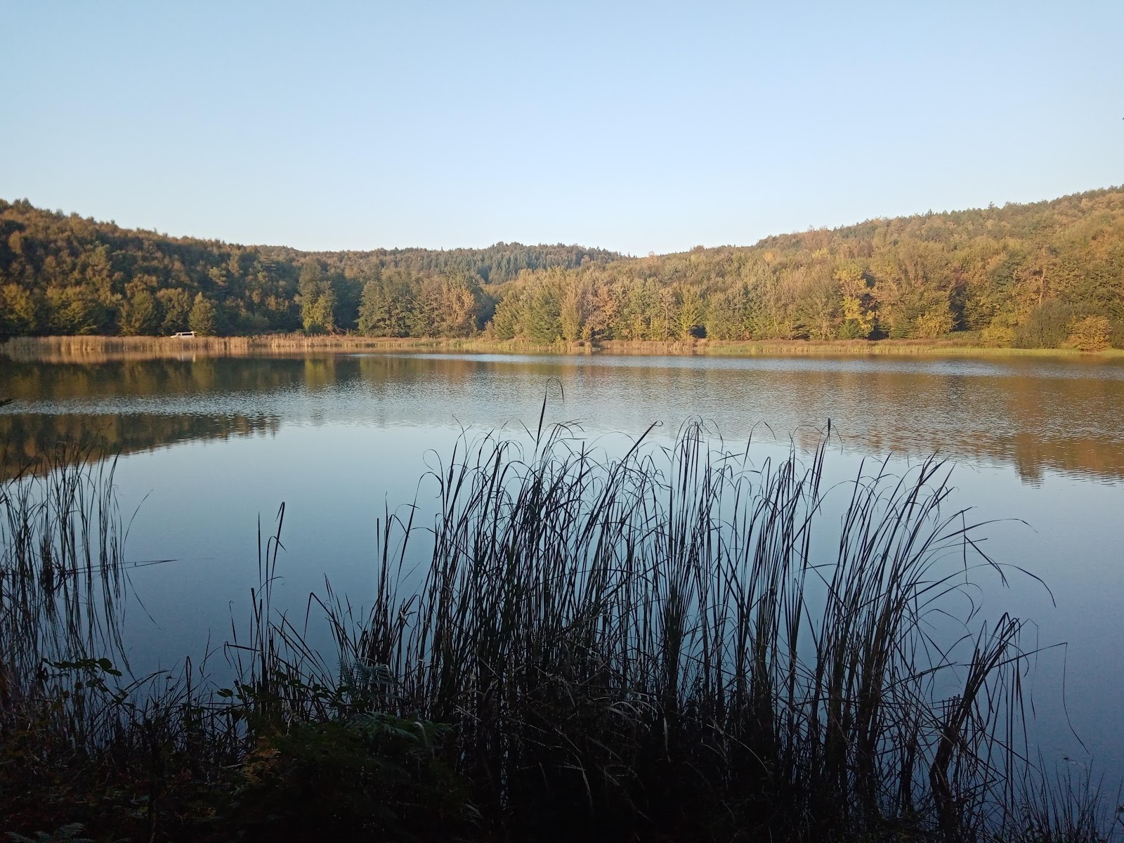 Korugöl Tabiat Parkı — fotoğraf 1