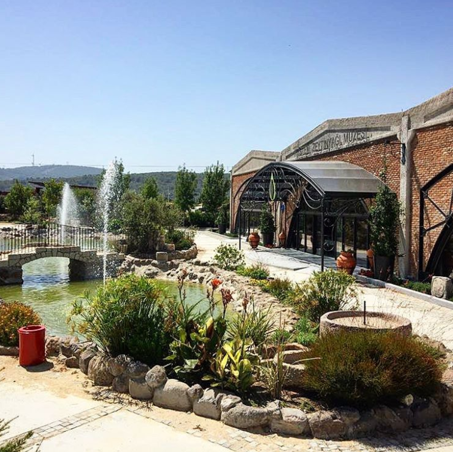 KÖSTEM ZEYTİNYAĞI MÜZESİ — fotoğraf 1