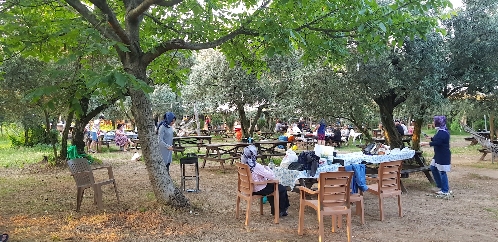 Koza Kafe&Restoran — fotoğraf 5