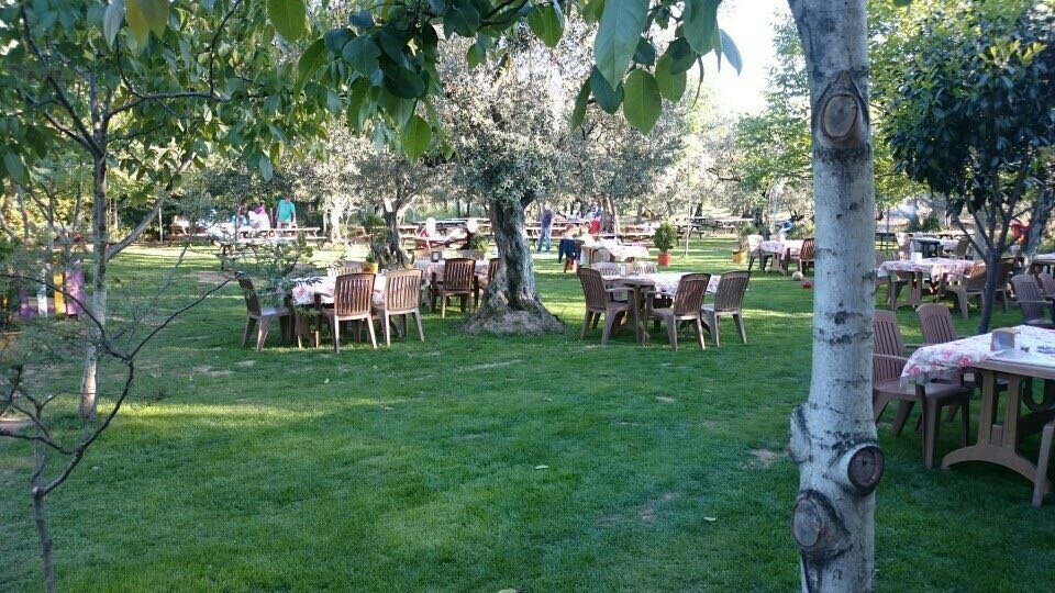 Koza Kafe&Restoran — fotoğraf 6