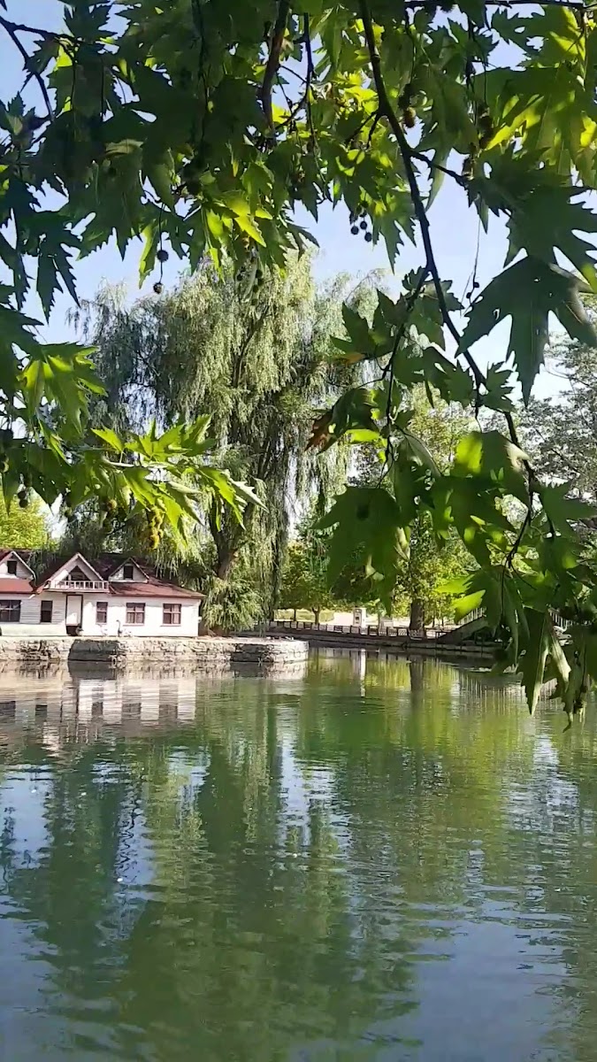 Kuğulu Park Mesire Yeri — fotoğraf 3