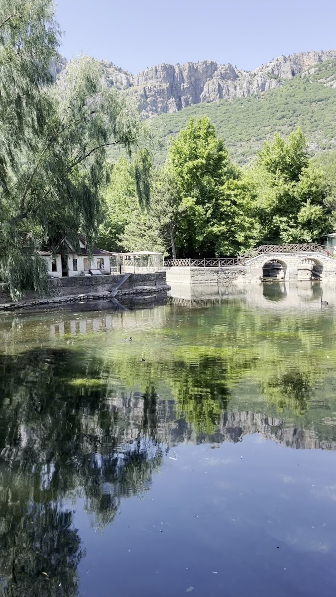 Kuğulu Park Mesire Yeri — fotoğraf 4
