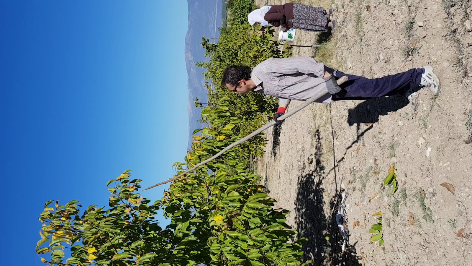 Kuruçay — fotoğraf 3