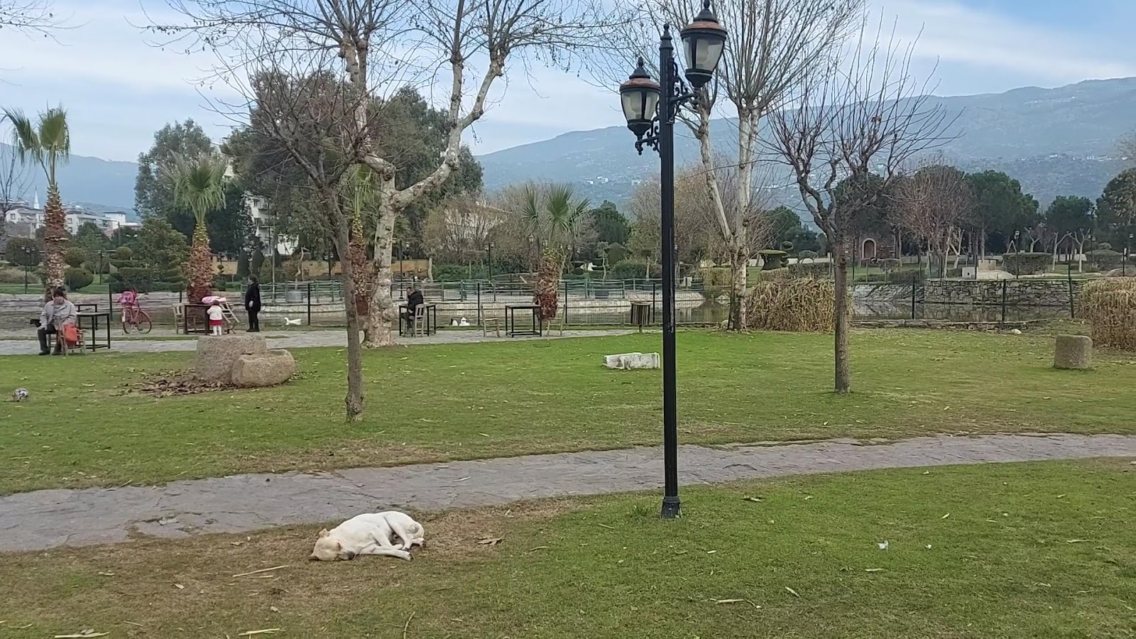 Kuvayi Milliye Müzesi — fotoğraf 3