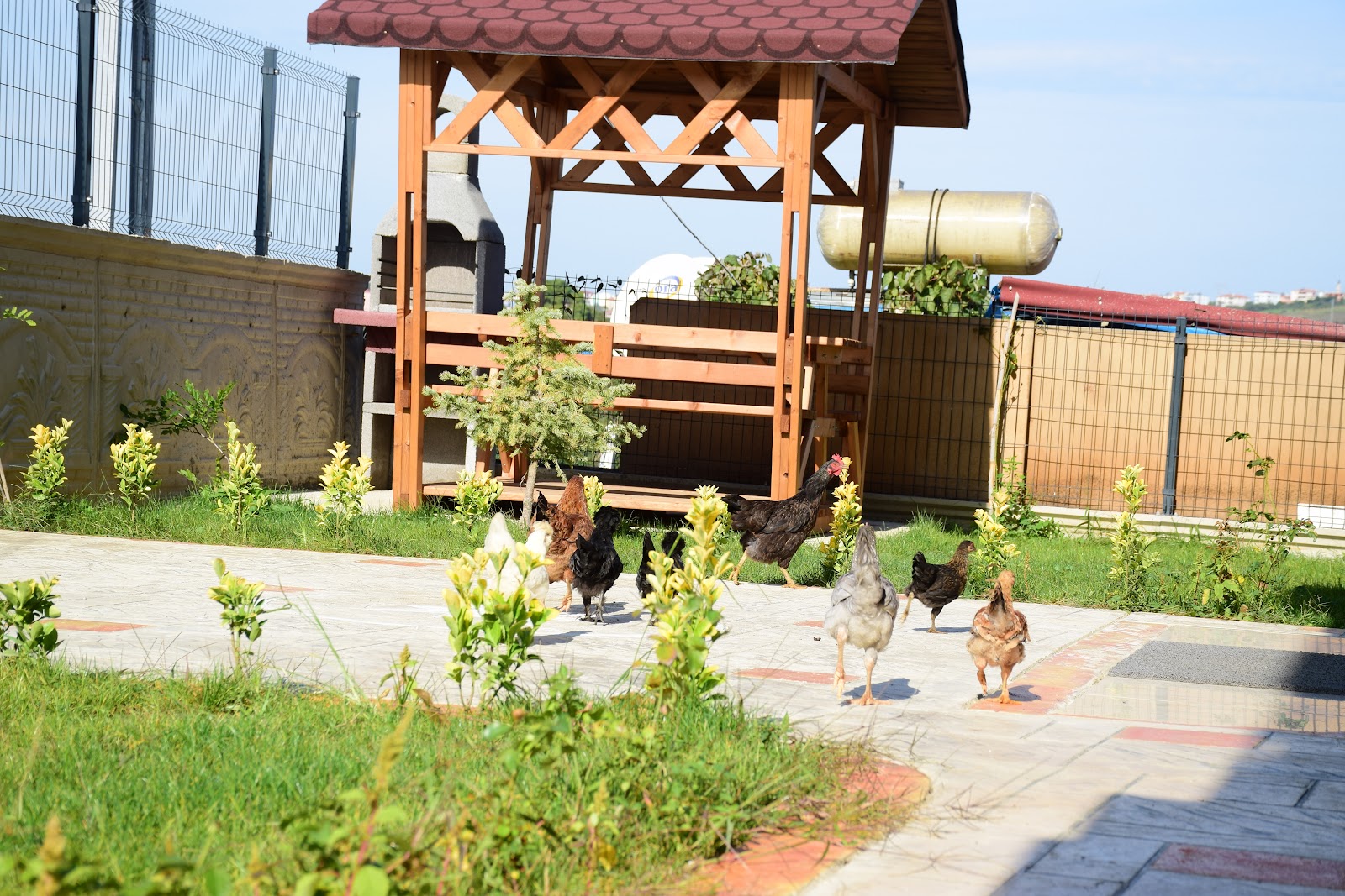 Kuzey Otel — fotoğraf 3