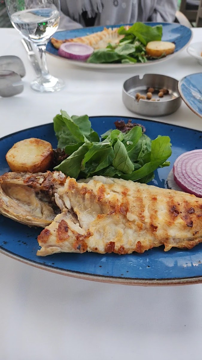 Lara Balık — fotoğraf 3