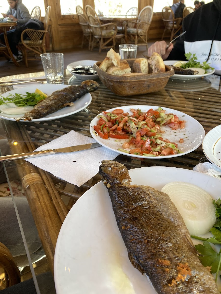 Laşet Canlı Alabalık Tesisleri Restoran — fotoğraf 5