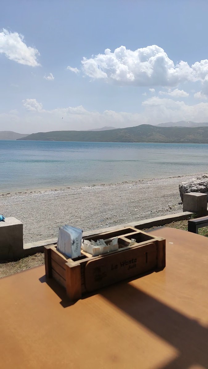 LAVANTA SUİT — fotoğraf 4