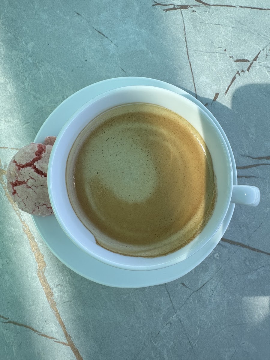 LAVANTA SUİT — fotoğraf 5