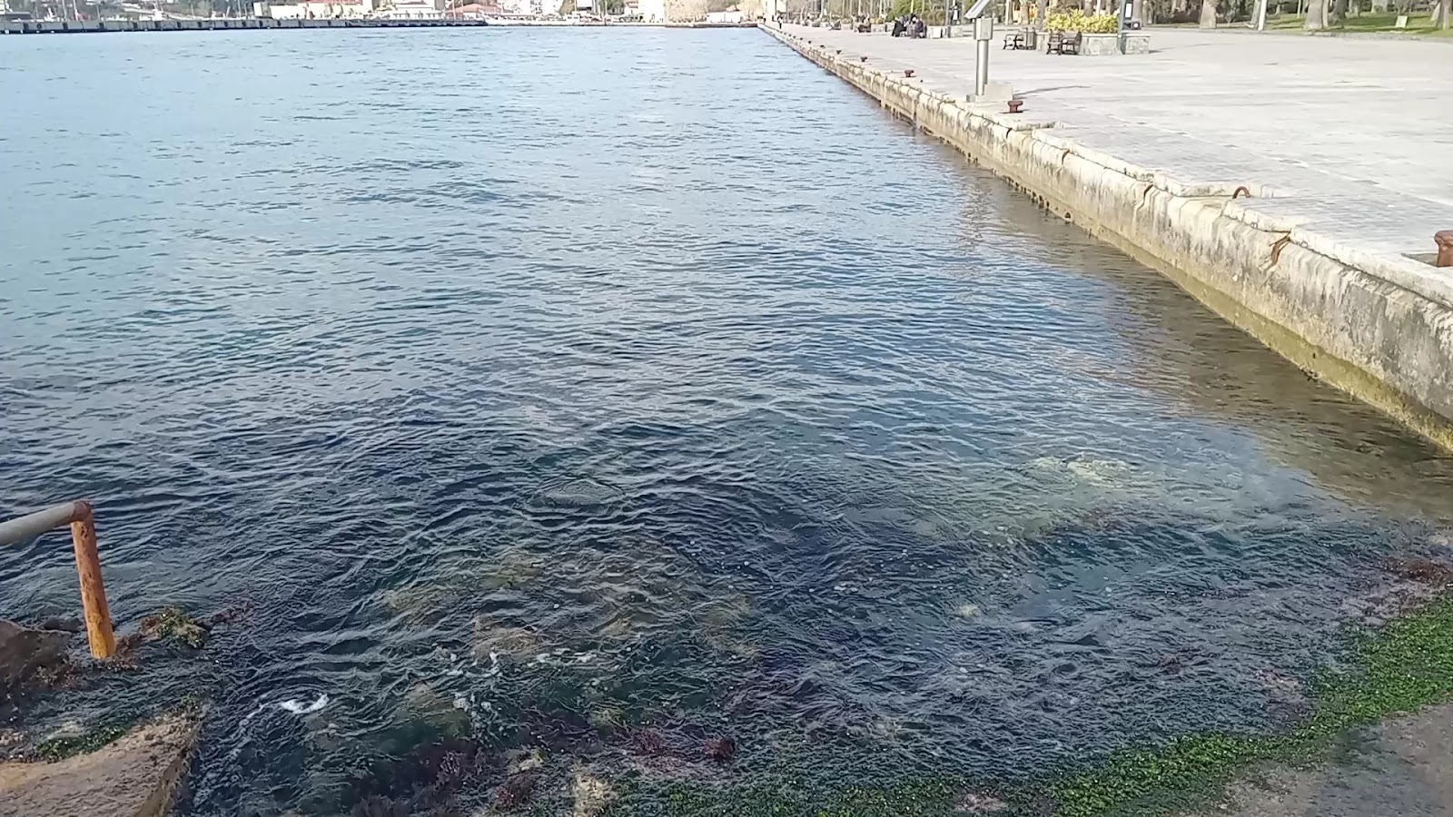 Liman Aile Çay Bahçesi — fotoğraf 3