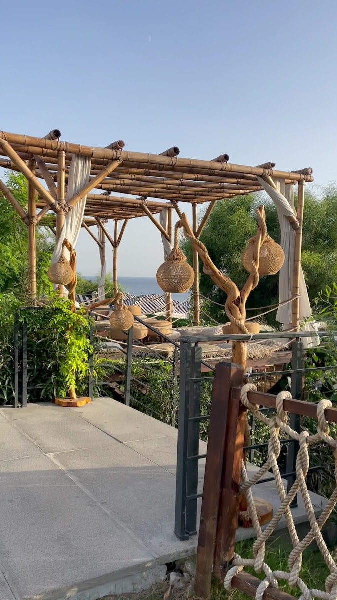 Lucky Monkey Hotel — fotoğraf 5