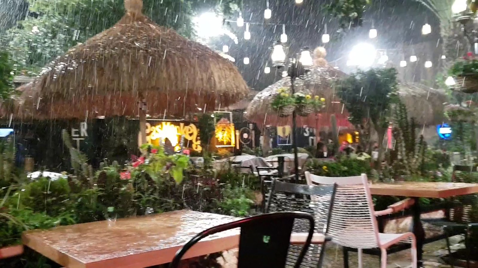 LUNA GARDEN — fotoğraf 3