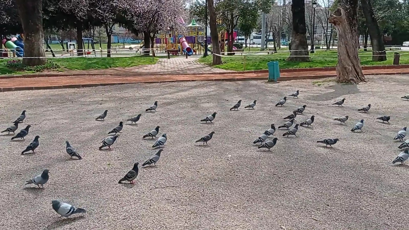 Maanoğlu Parkı — fotoğraf 3