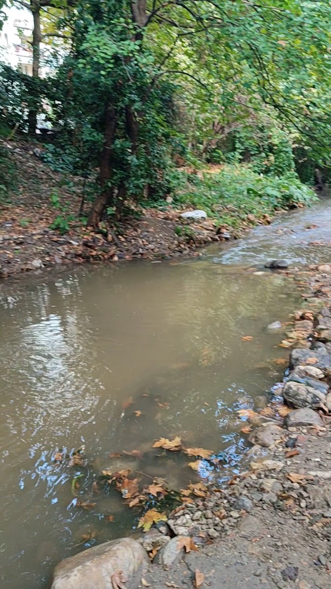 Mahfel Lounge — fotoğraf 4