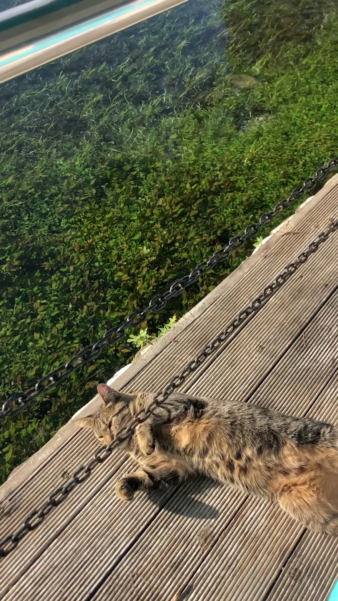 Mandalin Akyaka Butik Otel — fotoğraf 3