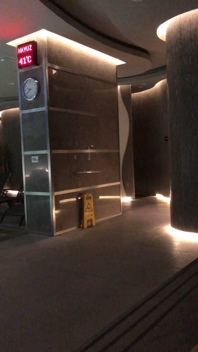 Marigold Thermal & SPA Hotel Bursa — fotoğraf 3