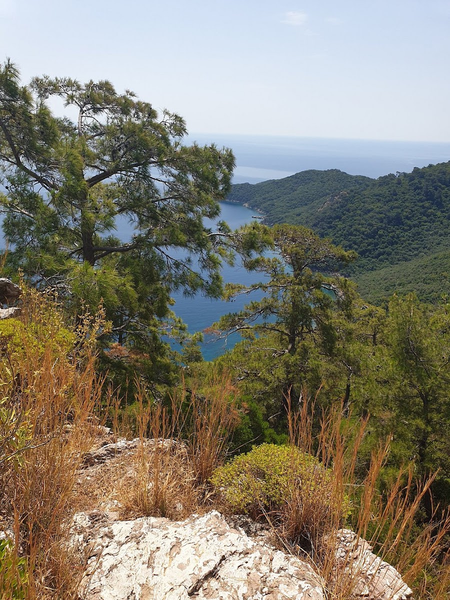 Marmaris Milli Parkı — fotoğraf 2