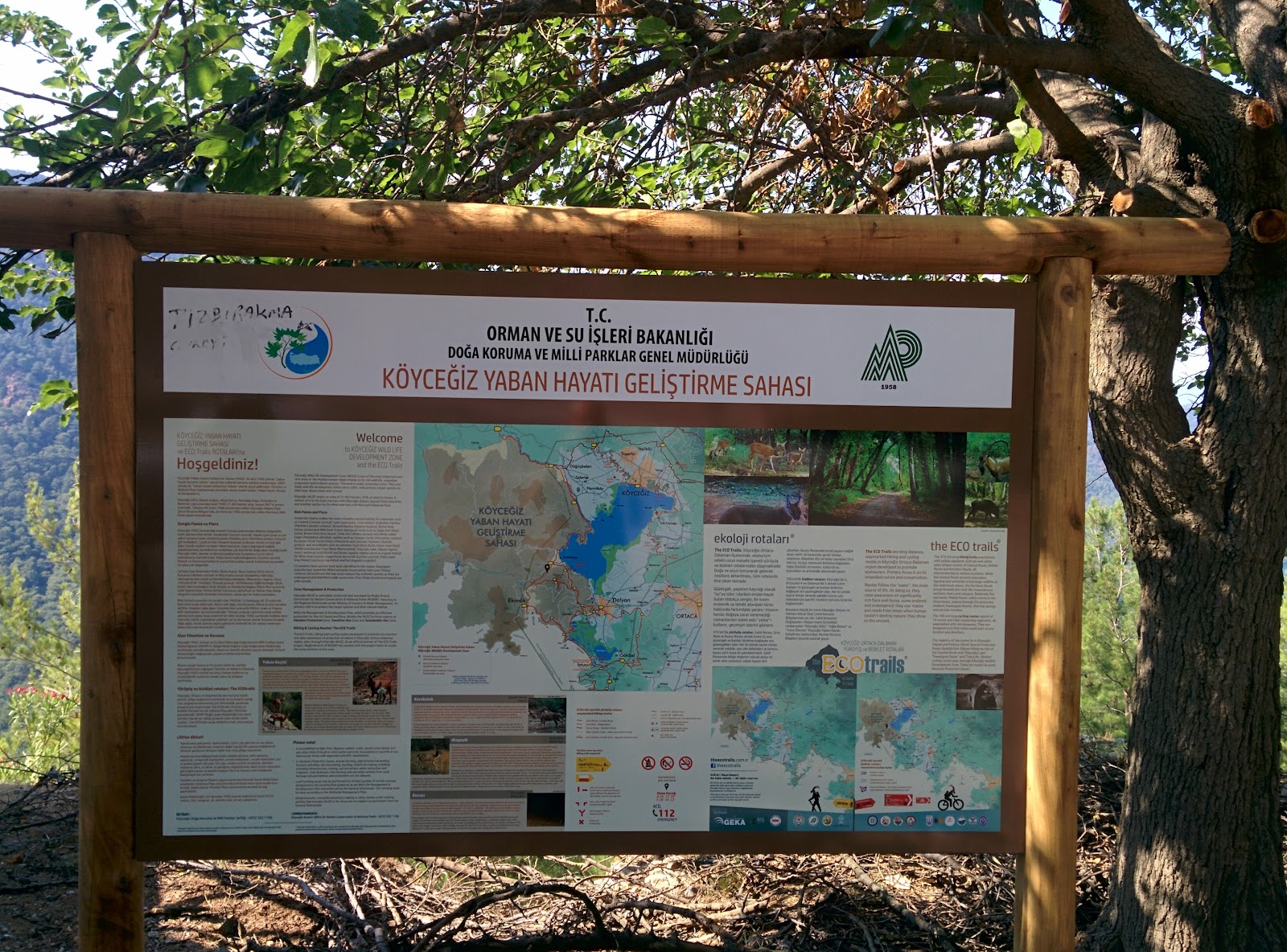 Marmaris Milli Parkı — fotoğraf 4