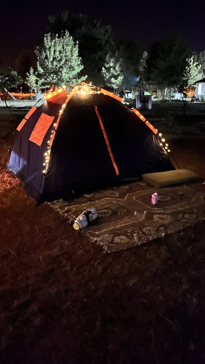 Martı Kamp & Karavan — fotoğraf 5