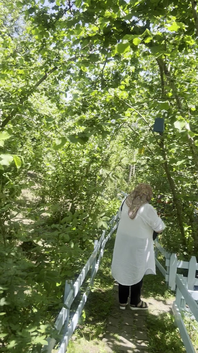 Masal Bahçe — fotoğraf 3