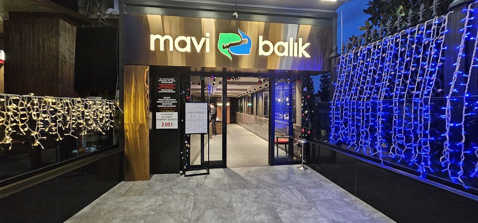 Mavi Balık — fotoğraf 1