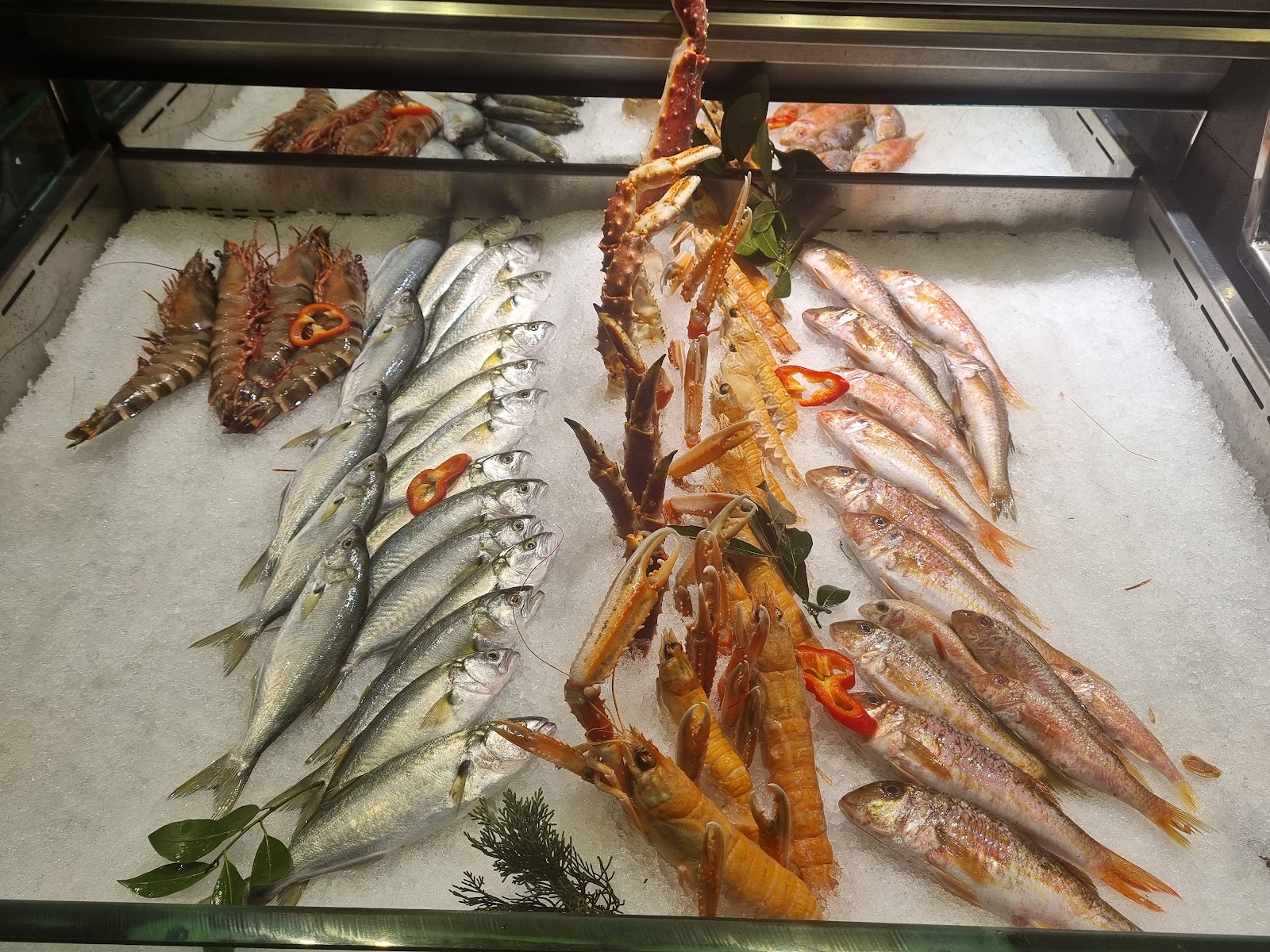 Mavi Balık — fotoğraf 9