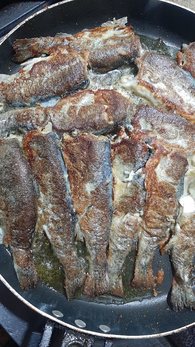 MERT ALABALIK — fotoğraf 5