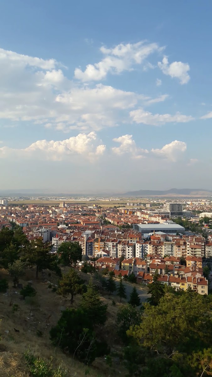 Mesire Alanı — fotoğraf 2