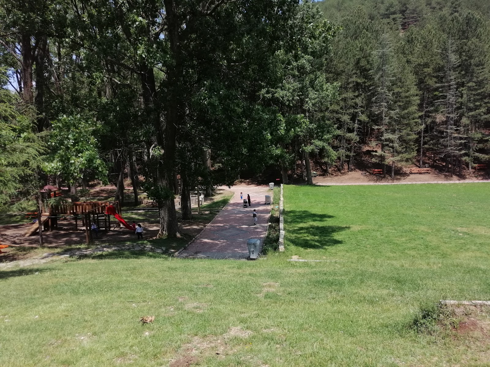 Milas Mesireliği — fotoğraf 1