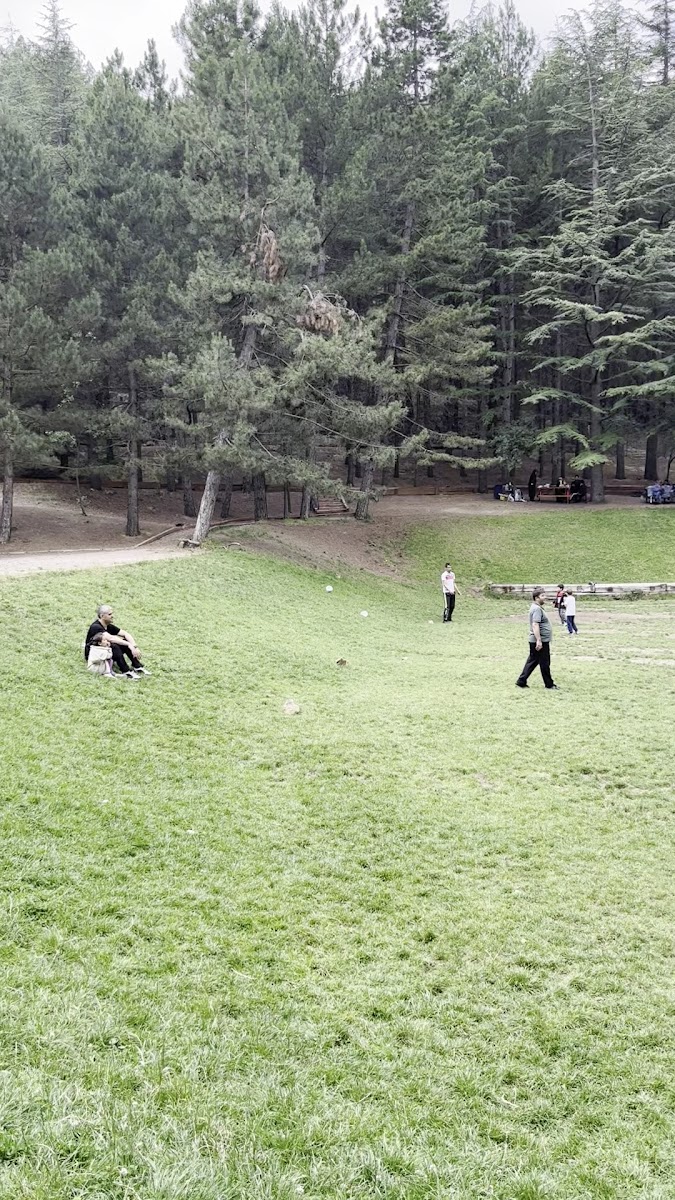 Milas Mesireliği — fotoğraf 2