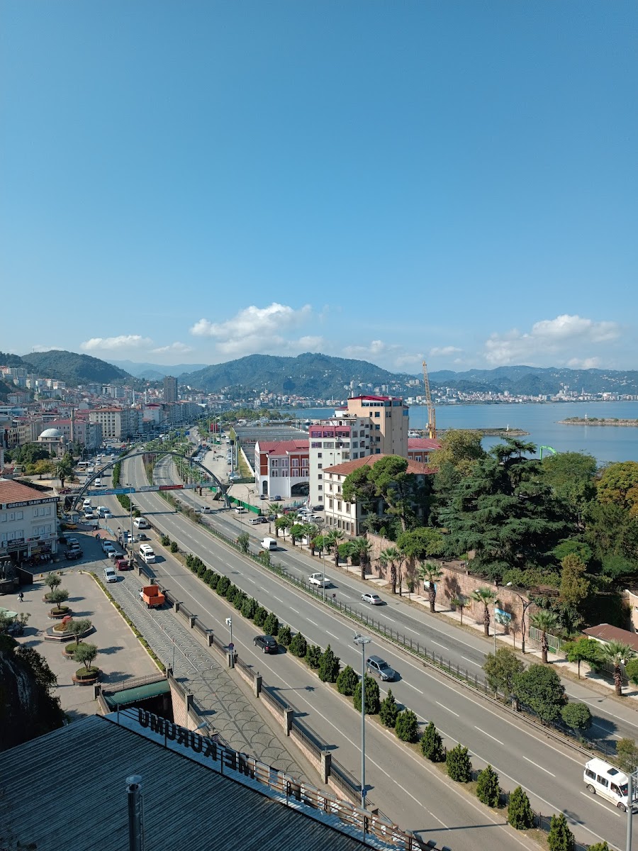 Millet bahcesi — fotoğraf 2