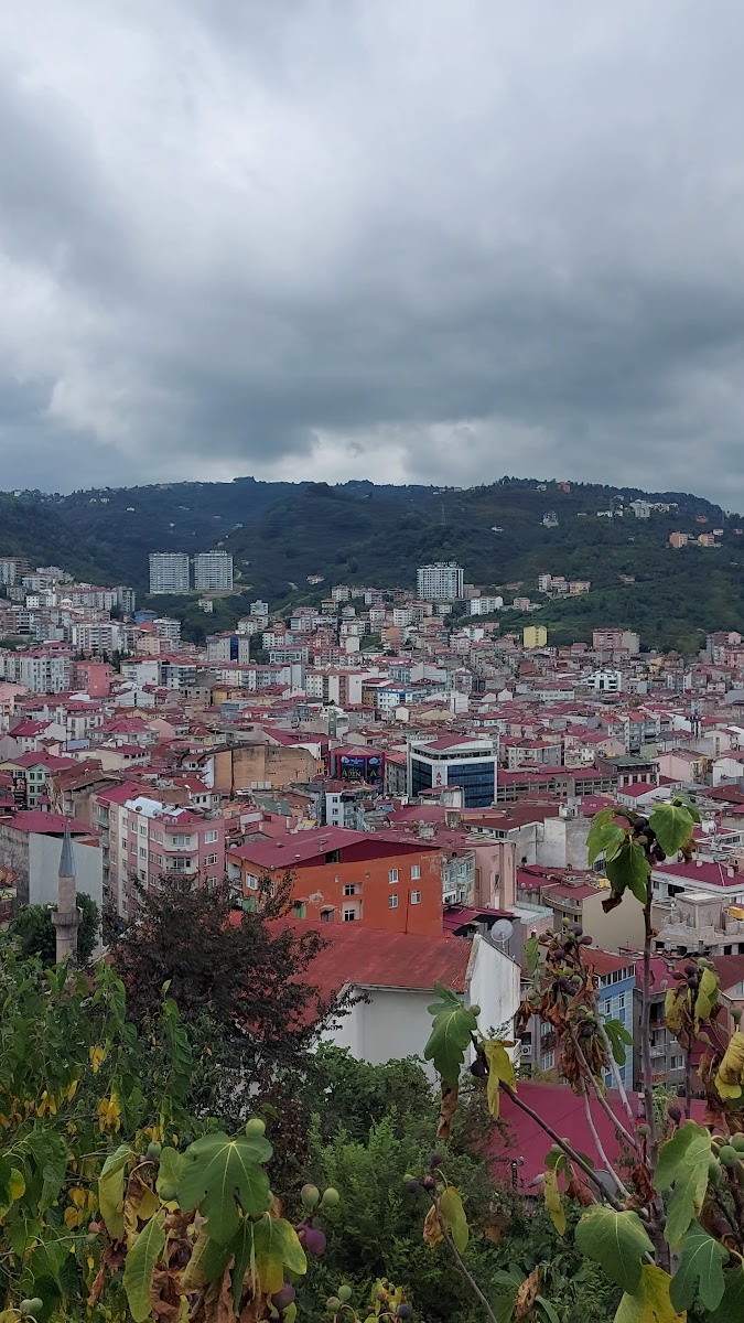 Millet bahcesi — fotoğraf 3