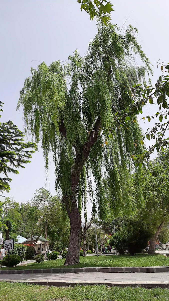 Mimar Sinan Kültür Parkı — fotoğraf 3
