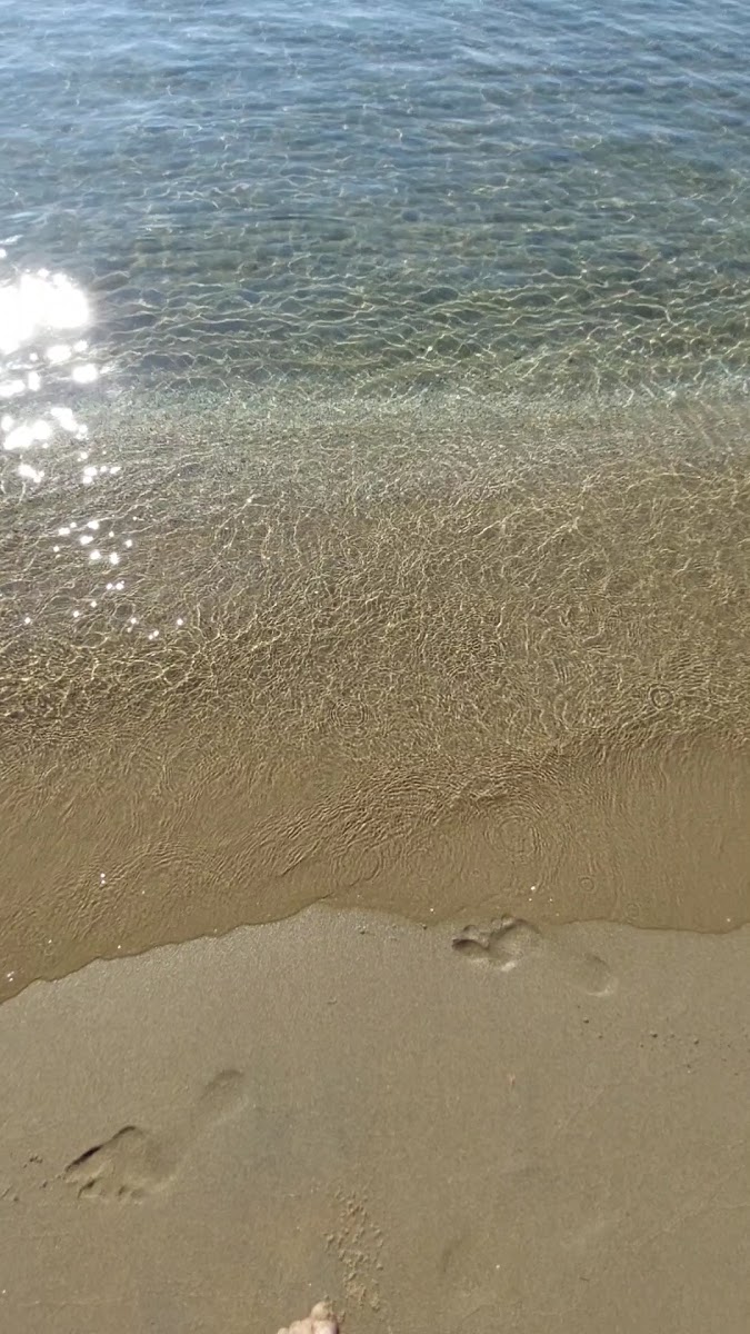 Mobil Plajı — fotoğraf 2