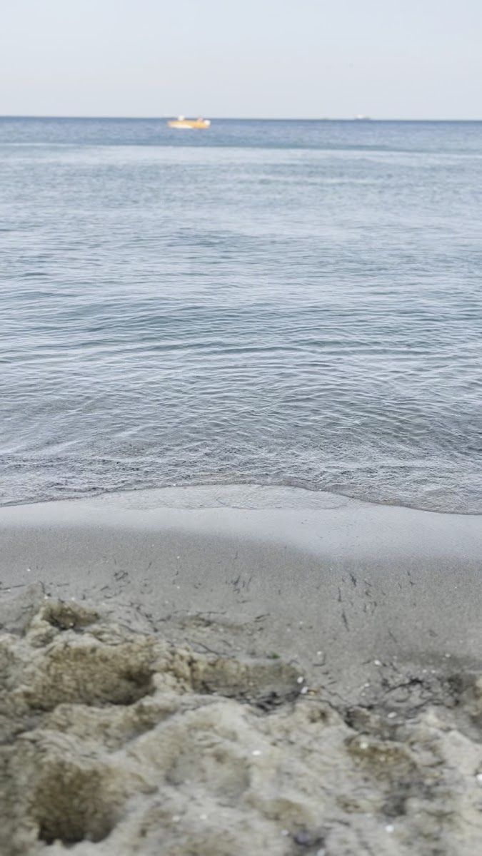 Mobil Plajı — fotoğraf 3