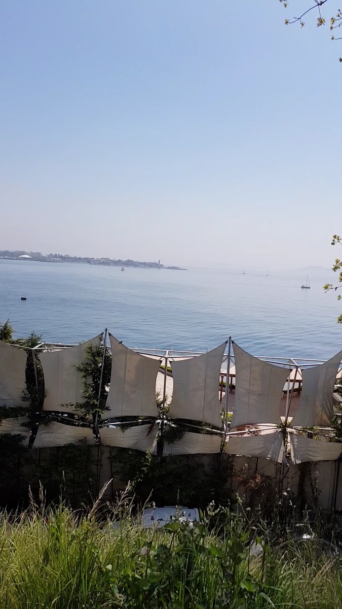 Moda — fotoğraf 2