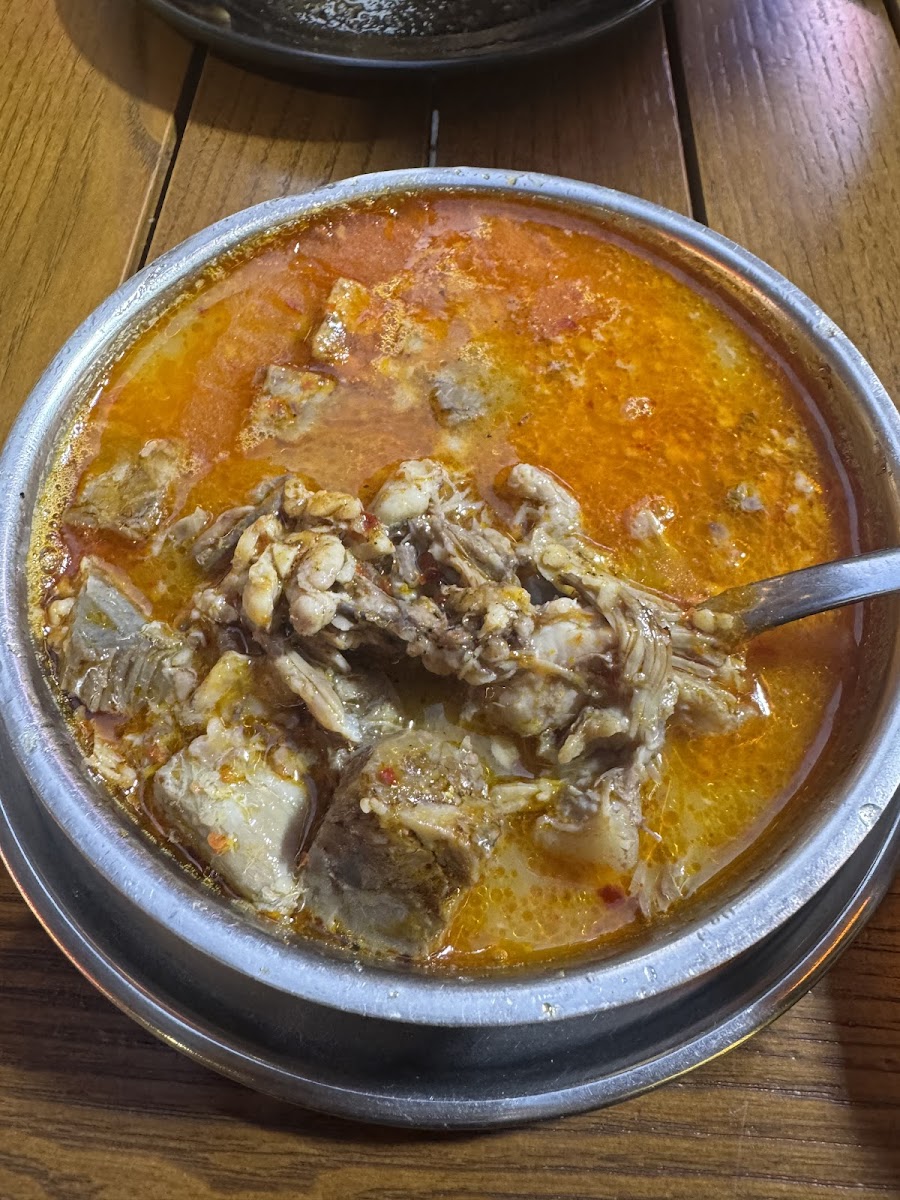 Murat Kelle Paça — fotoğraf 7