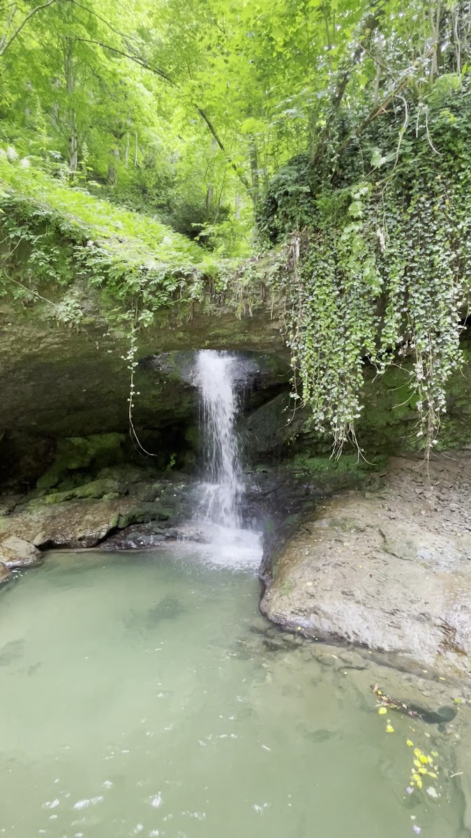 Murgul Deliklikaya Şelalesi — fotoğraf 3