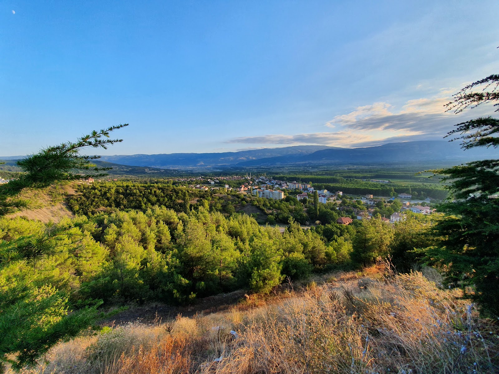 Niksar Ayvaz Kent Ormanı — fotoğraf 1