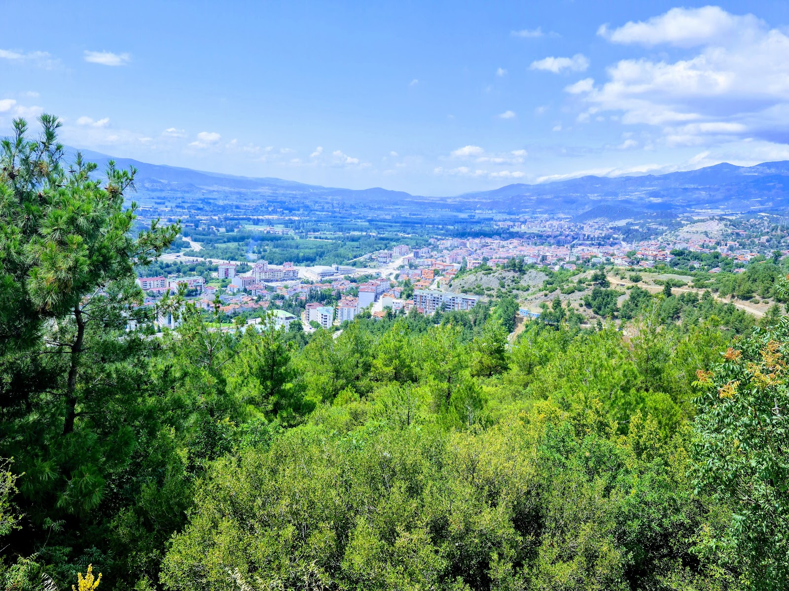 Niksar Ayvaz Kent Ormanı — fotoğraf 4