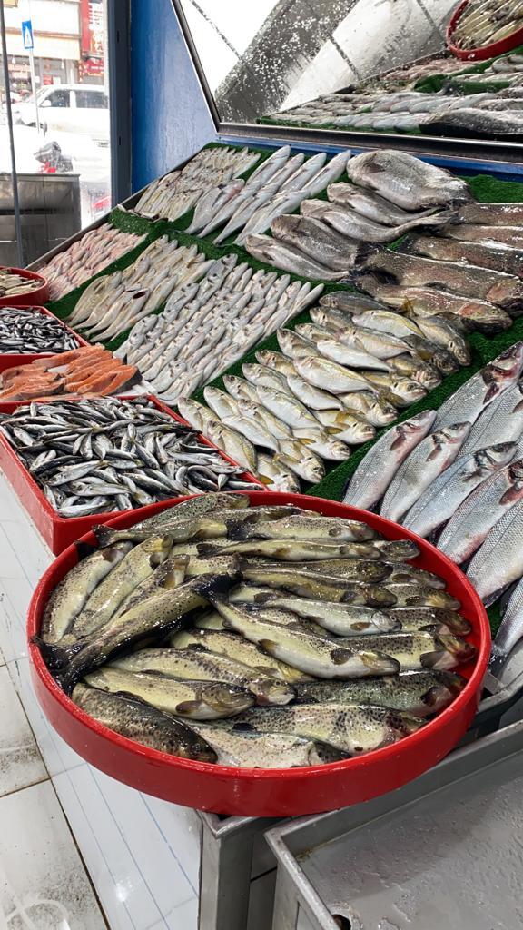 Nur Balıkçılık — fotoğraf 2