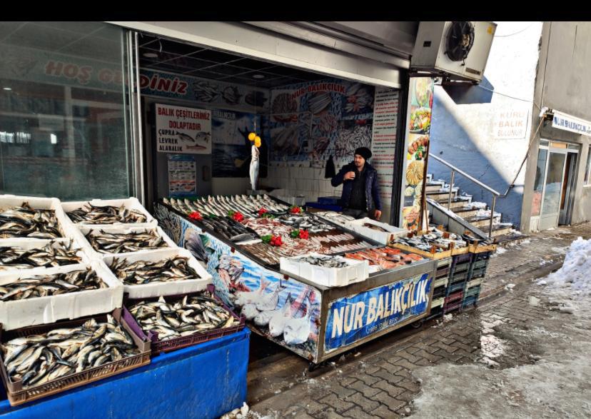 Nur Balıkçılık — fotoğraf 3