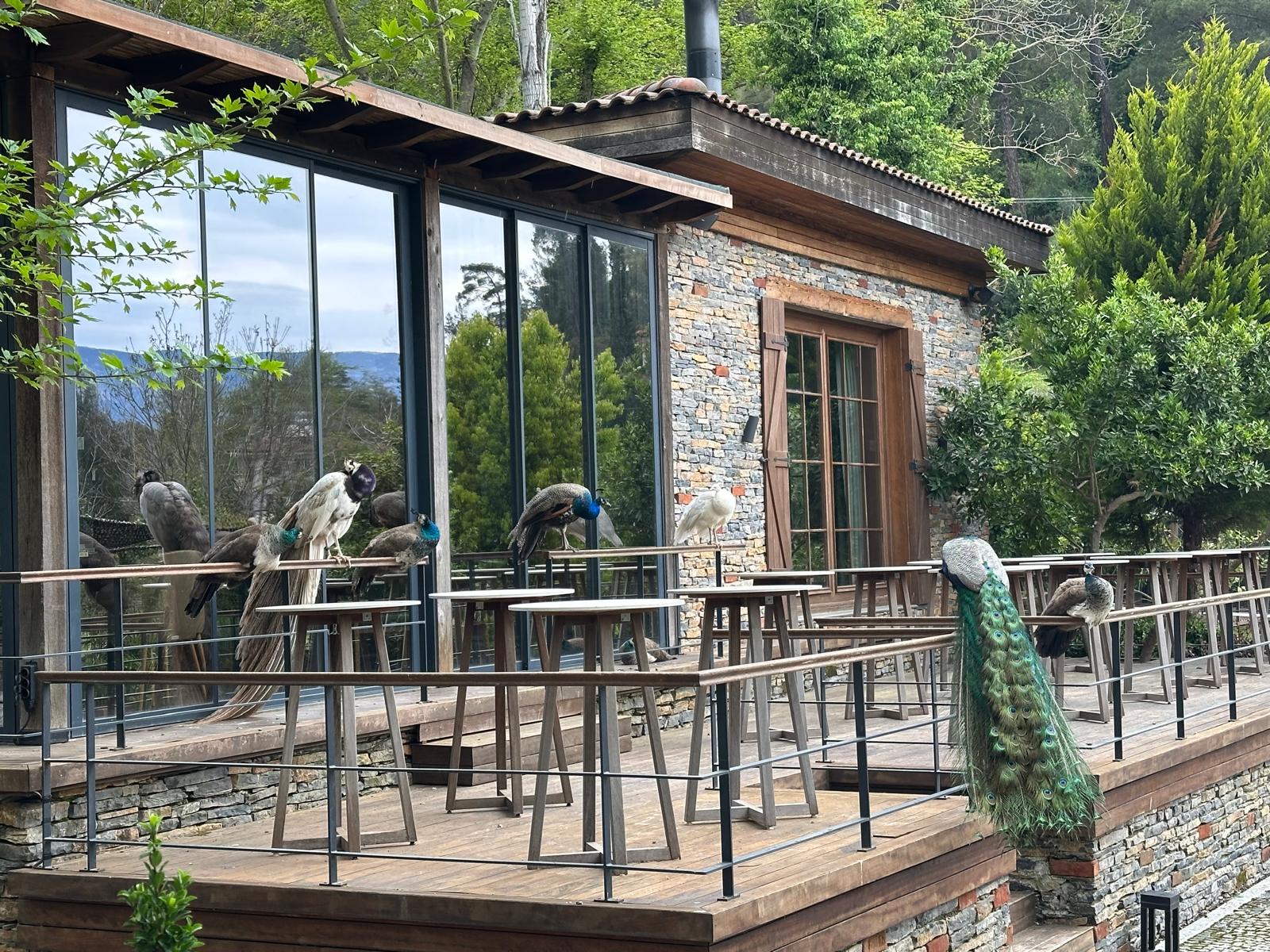 NUUP Hotel — fotoğraf 2